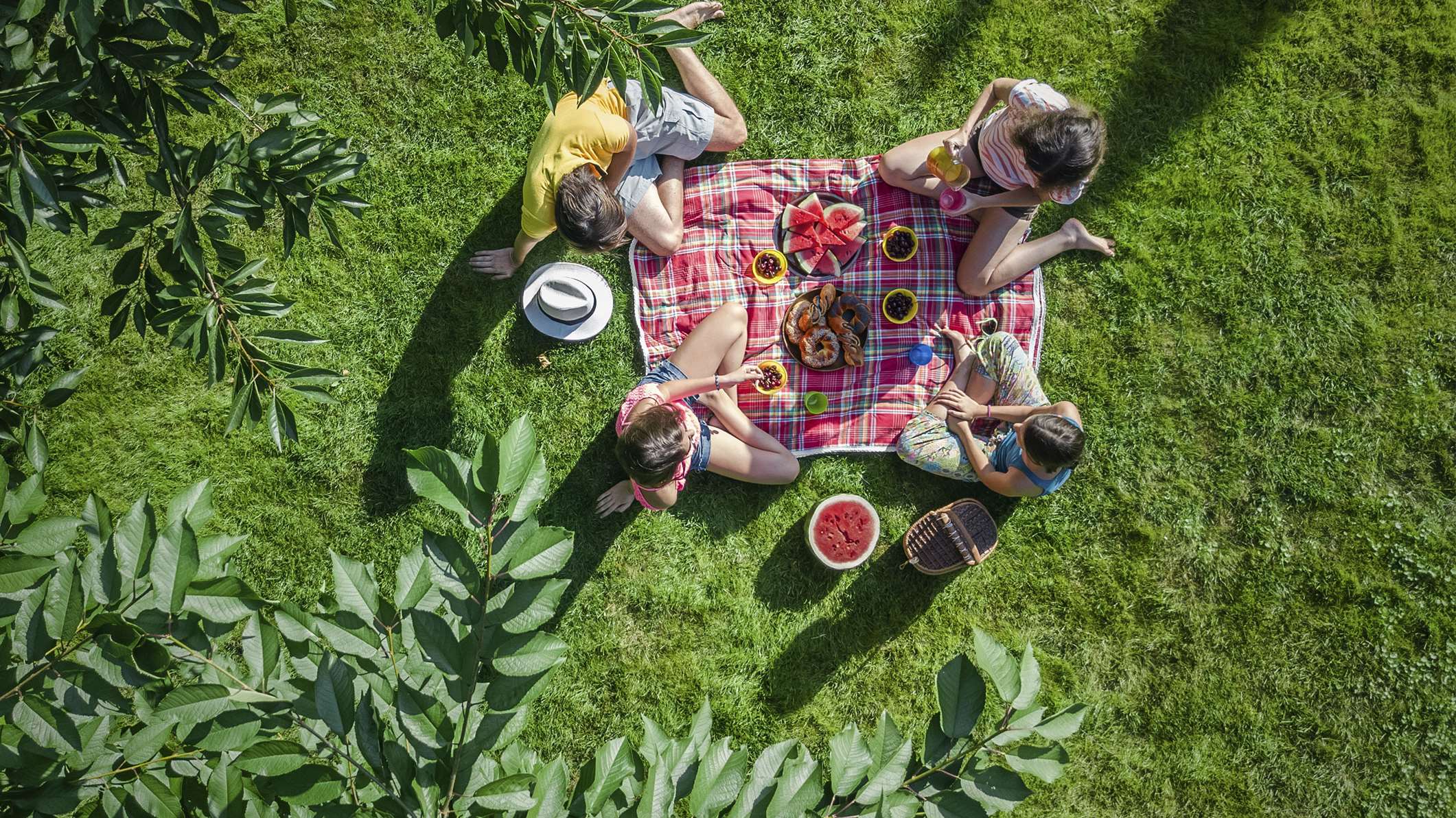 familia fazendo um picnic ao ar livre